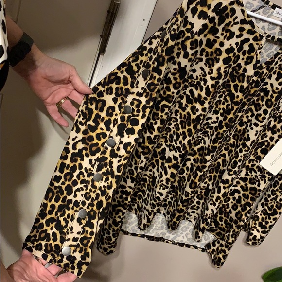 New York Laundry Casual 3/4 Sleeve Shirt - Picture 3 of 3